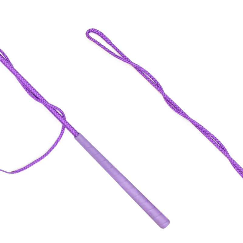 Country Direct Lunge Whip Purple-1